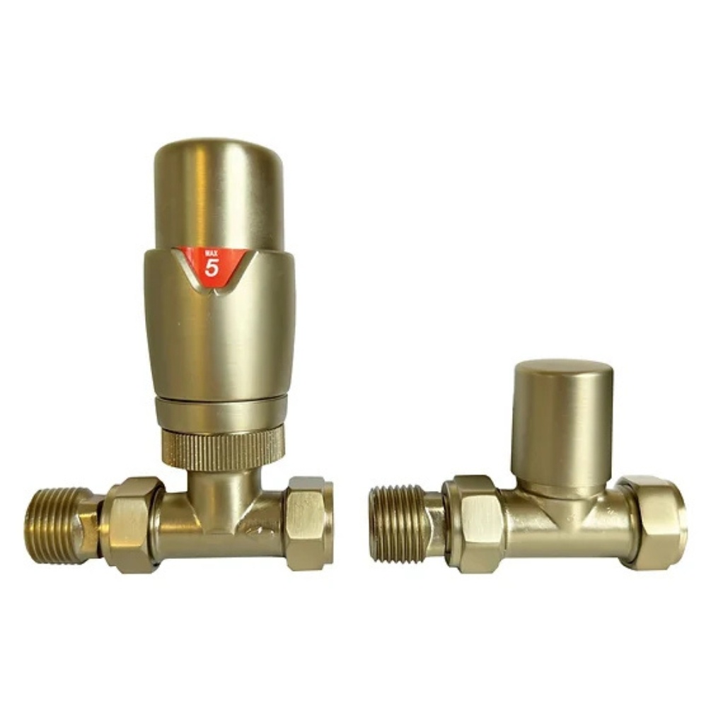 Product cut out image of the Radox Brushed Brass Thermostatic Straight Valves